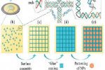 الگودهی ‌نانوذرات با استفاده از قالب DNA