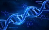 رشد سریع در حوزه نانوفناوری DNA آمفی‌فیلیک