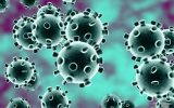 از سوی سازمان جهانی بهداشت؛:سویه جدید ویروس کرونا «اومیکرون» نام گرفت