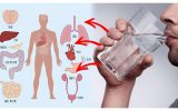 اگر این نشانه‌ها را دارید بدنتان کم آب است/راه تشخیص کم‌آبی بدن در ۵ ثانیه