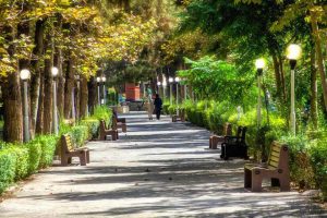 «ساخت هتل‌های چندستاره در بوستان‌های تهران» و یک پرسش!